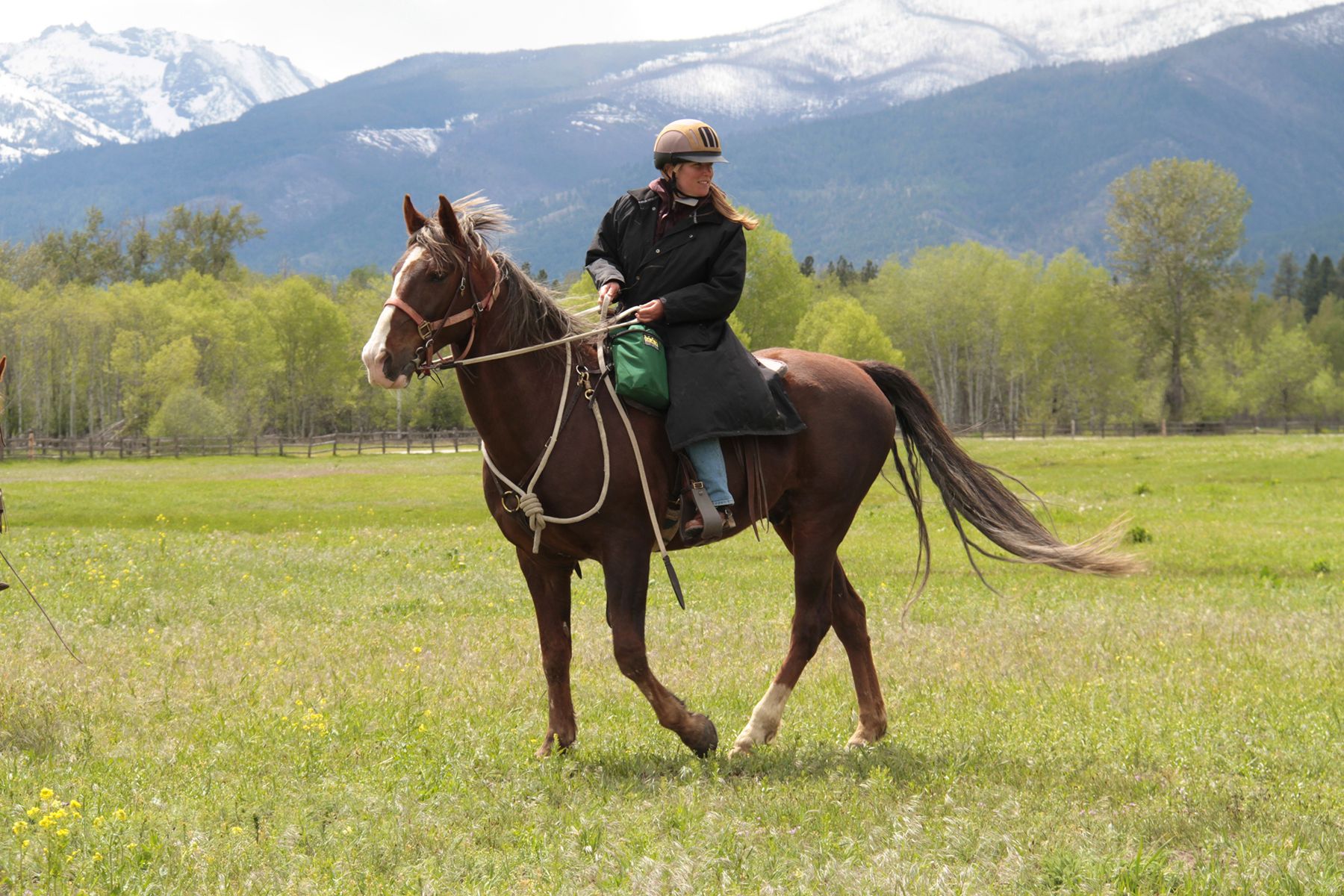 Equestrian Club - Dunrovin Ranch