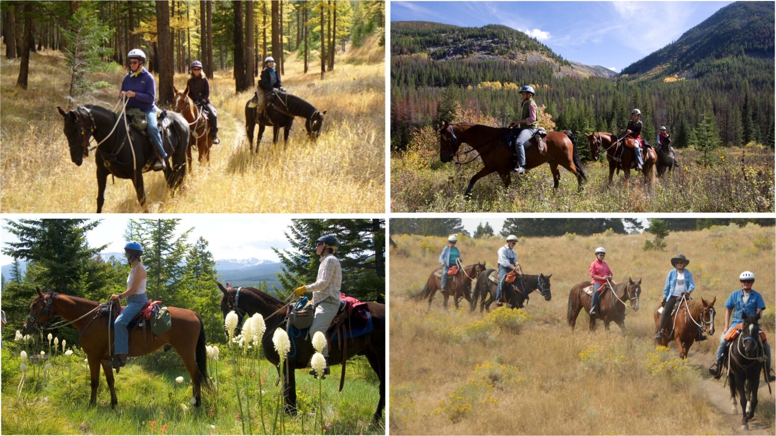 Horse Riding & Activities - Dunrovin Ranch