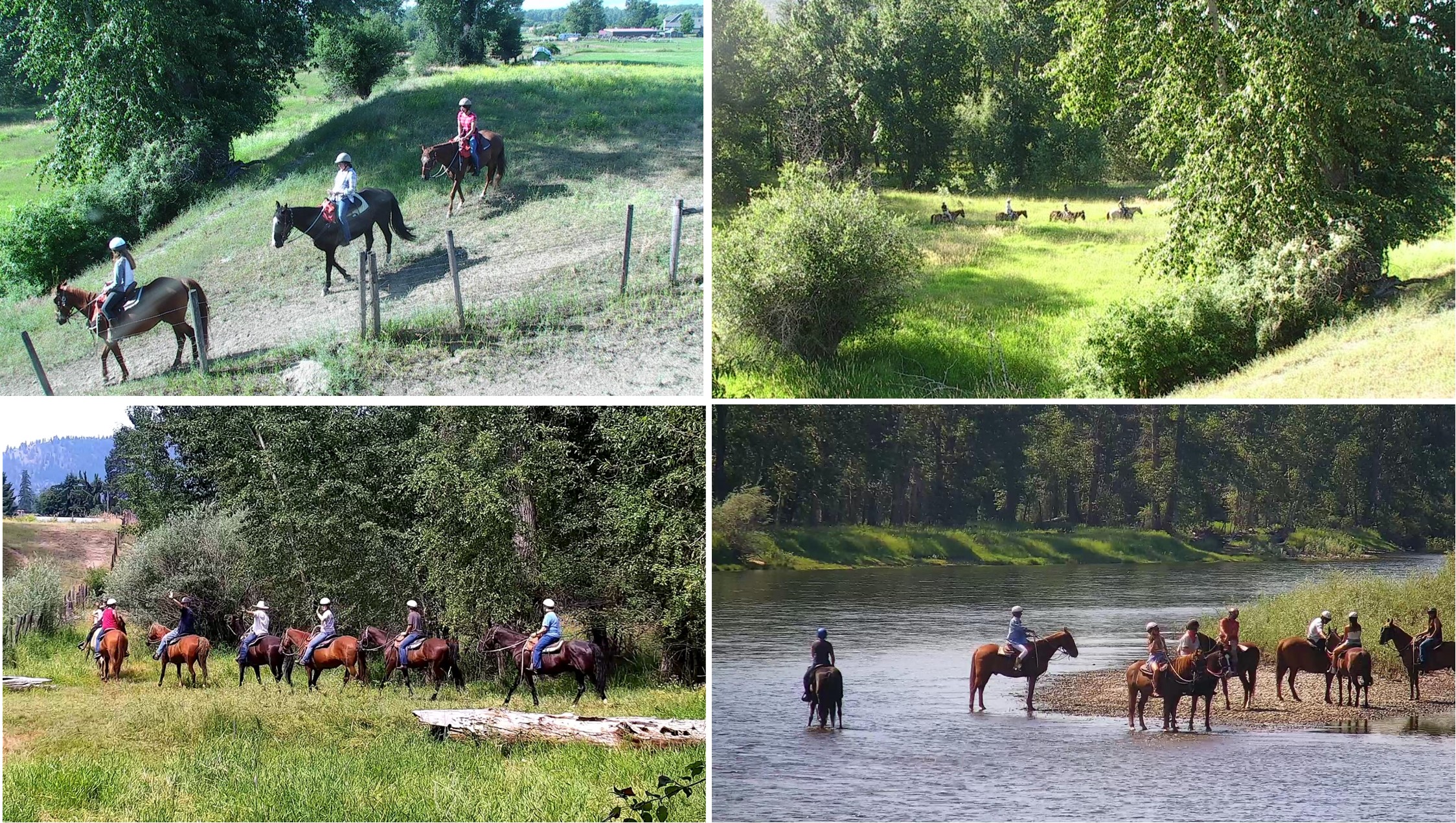 Ranch Ride Collage